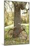 Wood Mount