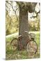 Wood Mount