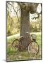 Wood Mount