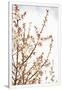 Gramercy White