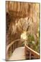 Wood Mount
