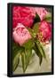 Essential Black