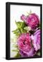 Essential Black