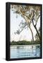 Essential Black