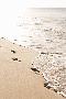 Laminate