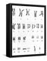 Karyotype of Chromosomes In Down's Syndrome-L. Willatt-Framed Stretched Canvas