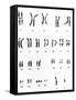 Karyotype of Chromosomes In Down's Syndrome-L. Willatt-Framed Stretched Canvas