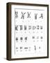 Karyotype of Chromosomes In Down's Syndrome-L. Willatt-Framed Photographic Print