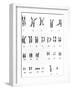 Karyotype of Chromosomes In Down's Syndrome-L. Willatt-Framed Photographic Print