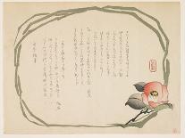Camellia, January 1860-Kasai-Giclee Print