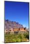 Kasbah at Tamnougalt, Morocco, North Africa, Africa-Neil-Mounted Photographic Print