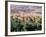 Kasbahs in the Draa Valley, Morocco, North Africa, Africa-R H Productions-Framed Photographic Print