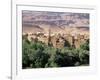 Kasbahs in the Draa Valley, Morocco, North Africa, Africa-R H Productions-Framed Photographic Print