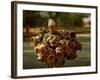 Kashmiri Carries 'Kangris' or Firepots to Sell in a Market in Srinagar, India-null-Framed Photographic Print