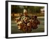 Kashmiri Carries 'Kangris' or Firepots to Sell in a Market in Srinagar, India-null-Framed Photographic Print