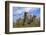 Kasselburg Castle near Pelm, Eifel, Rhineland-Palatinate, Germany, Europe-Hans-Peter Merten-Framed Photographic Print