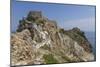 Kastro, Skiathos, Sporades, Greek Islands, Greece, Europe-Rolf Richardson-Mounted Photographic Print