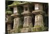 Kasuga-Taisha Shrine-Paul Dymond-Mounted Photographic Print