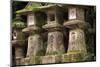 Kasuga-Taisha Shrine-Paul Dymond-Mounted Photographic Print