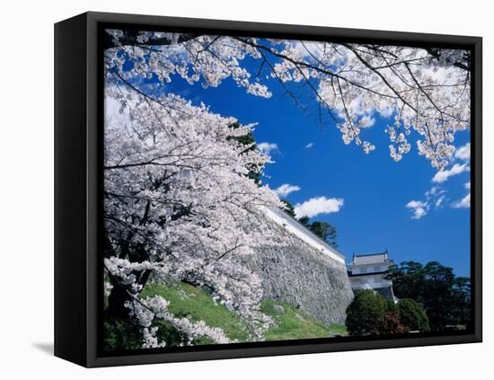Kasumiga-Jo Castle and Cherry Blossoms-null-Framed Stretched Canvas