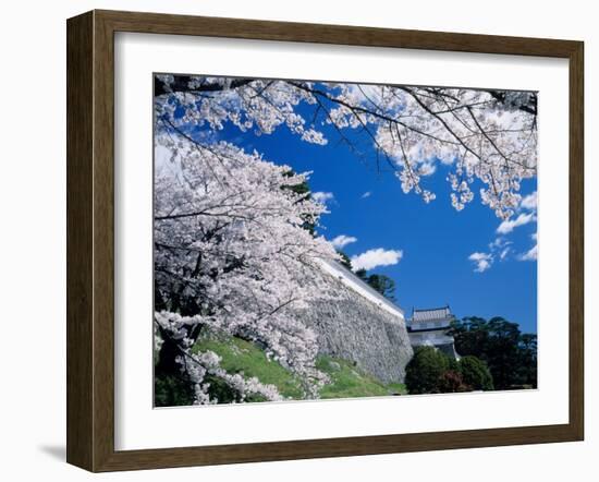 Kasumiga-Jo Castle and Cherry Blossoms-null-Framed Photographic Print