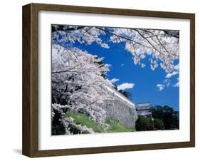 Kasumiga-Jo Castle and Cherry Blossoms-null-Framed Photographic Print