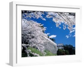 Kasumiga-Jo Castle and Cherry Blossoms-null-Framed Photographic Print