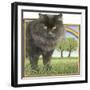 Kat401-Francien Van Westering-Framed Giclee Print