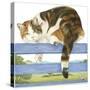 Kat402-Francien Van Westering-Stretched Canvas