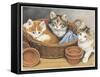 Kat436-Francien Van Westering-Framed Stretched Canvas