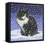 Kat723-Francien Van Westering-Framed Stretched Canvas