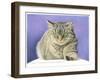 Kat812-Francien Van Westering-Framed Giclee Print