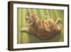 Kat815-Francien Van Westering-Framed Giclee Print