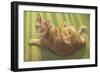 Kat815-Francien Van Westering-Framed Giclee Print