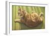 Kat815-Francien Van Westering-Framed Giclee Print