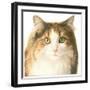 Kat908-Francien Van Westering-Framed Giclee Print