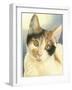 Kat946_CMYK-Francien Van Westering-Framed Giclee Print