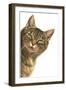 Kat949_CMYK-Francien Van Westering-Framed Giclee Print