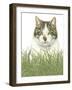 Kat952_CMYK-Francien Van Westering-Framed Giclee Print