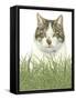 Kat952_CMYK-Francien Van Westering-Framed Stretched Canvas