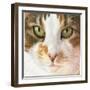 Kat953-Francien Van Westering-Framed Giclee Print