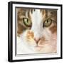 Kat953-Francien Van Westering-Framed Giclee Print