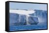 Katabatic Winds Blow Snow into the Sea Off Glacier Face at Brown Bluff, Weddell Sea, Antarctica-Michael Nolan-Framed Stretched Canvas