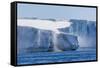 Katabatic Winds Blow Snow into the Sea Off Glacier Face at Brown Bluff, Weddell Sea, Antarctica-Michael Nolan-Framed Stretched Canvas