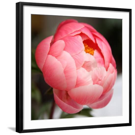 Photo, , large