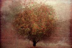 A tree-Katarina Holmstrom-Photographic Print