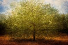 A tree-Katarina Holmstrom-Photographic Print