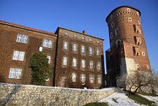 Wawel Castle in Krakow, Poland-katatonia82-Mounted Photographic Print