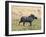 Katavi National Park, A Warthog Runs with its Tail in the Air, Tanzania-Nigel Pavitt-Framed Premium Photographic Print