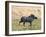 Katavi National Park, A Warthog Runs with its Tail in the Air, Tanzania-Nigel Pavitt-Framed Photographic Print